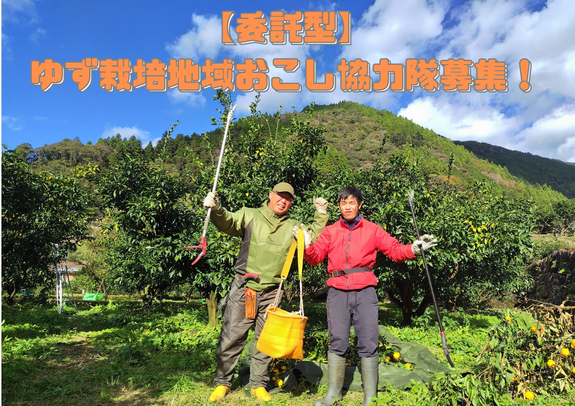 令和7年度4月採用【委託型】ゆず栽培の地域おこし協力隊を募集します！