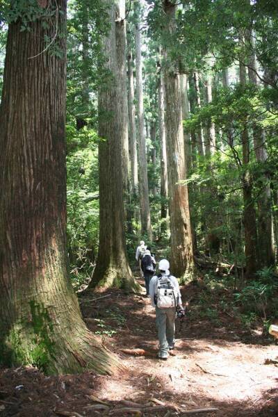 千本山トレッキング