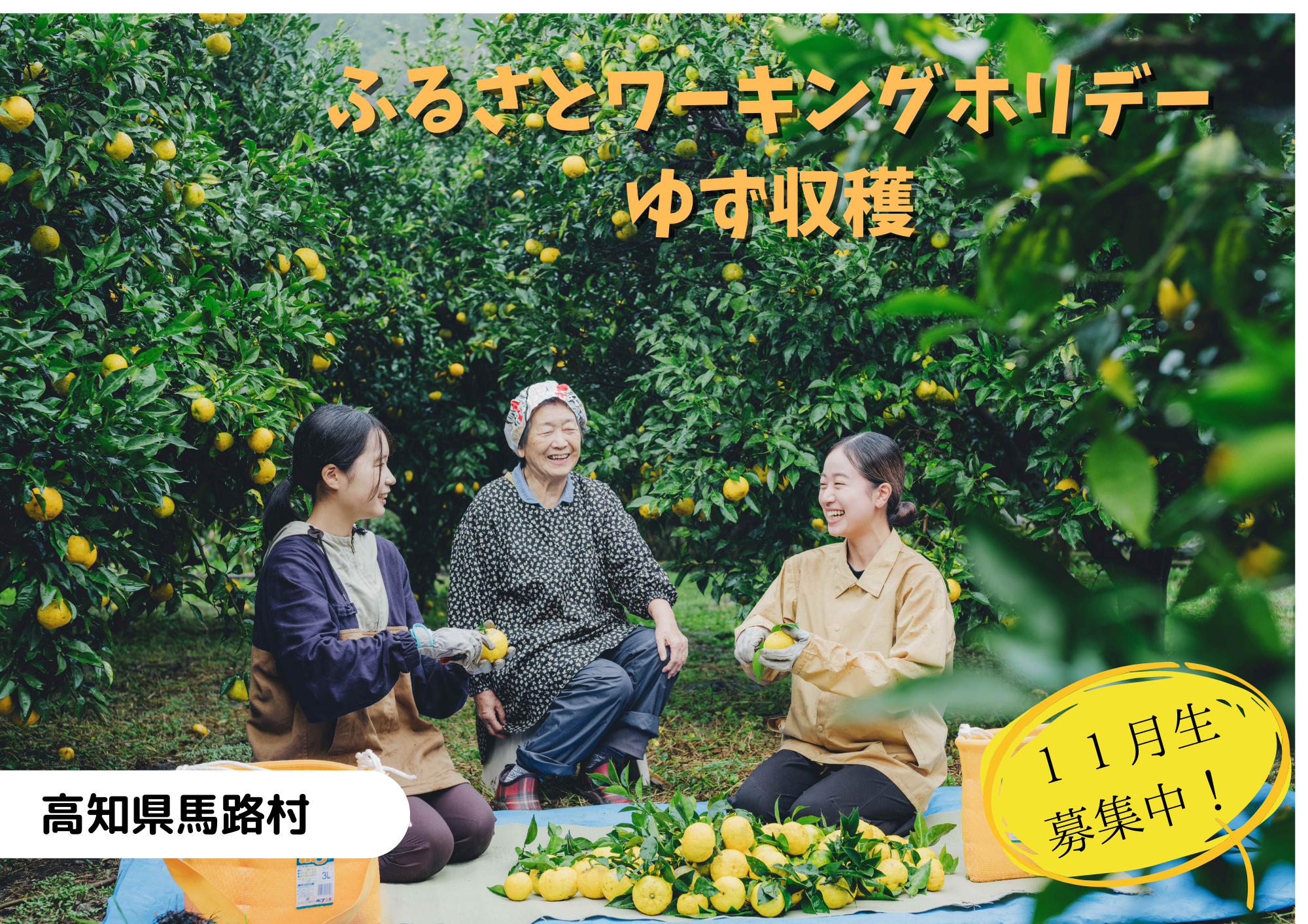 ふるさとワーキングホリデー「農家さんとゆず収穫」