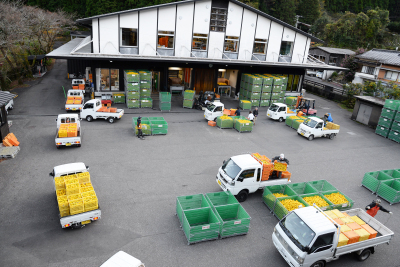 ゆず搾汁工場