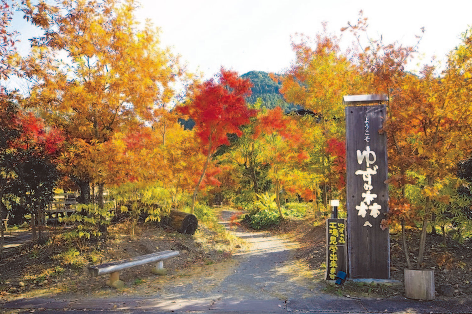 柚子の森