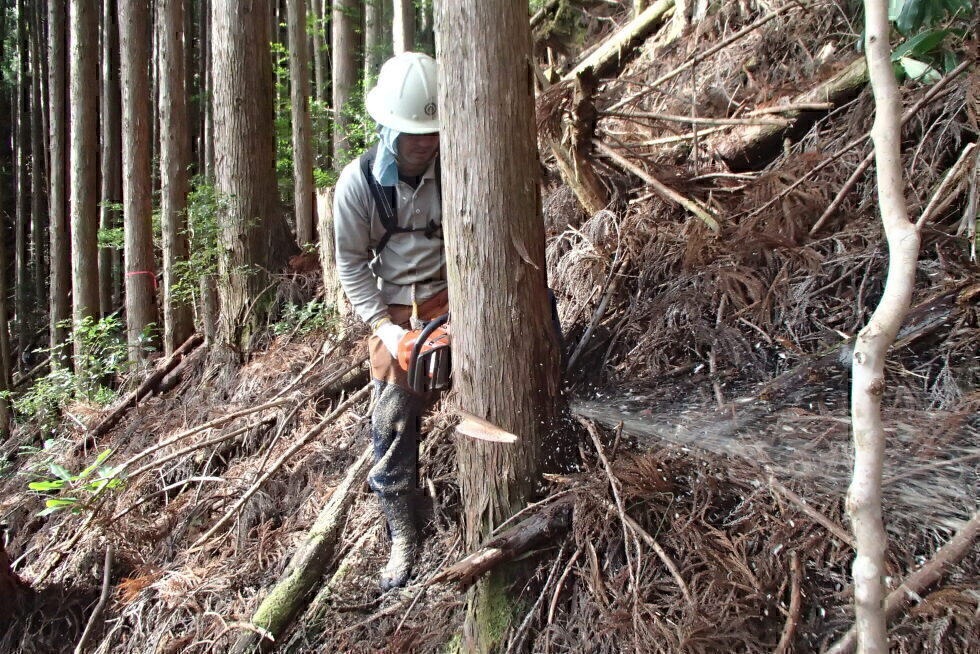 令和４年度地域おこし協力隊（自伐型林業）応募受付期間令和4年2月24日～６月3０日まで