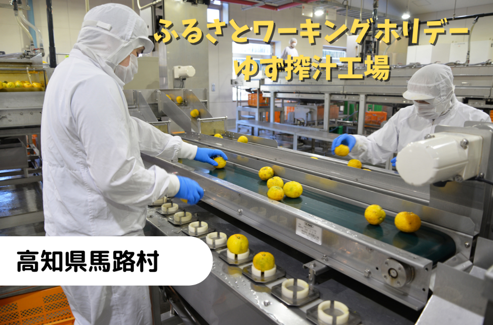 ふるさとワーキングホリデー「ゆず搾汁工場」