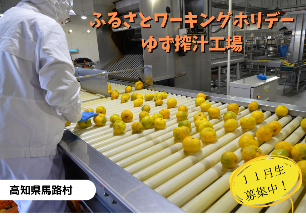 ふるさとワーキングホリデー「ゆず搾汁工場で働こう！」
